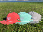 Shanks Snapback - Pink, Teal, Grey 